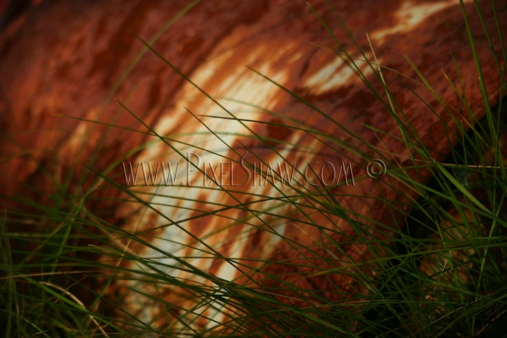 Oxidised - Green Oil.